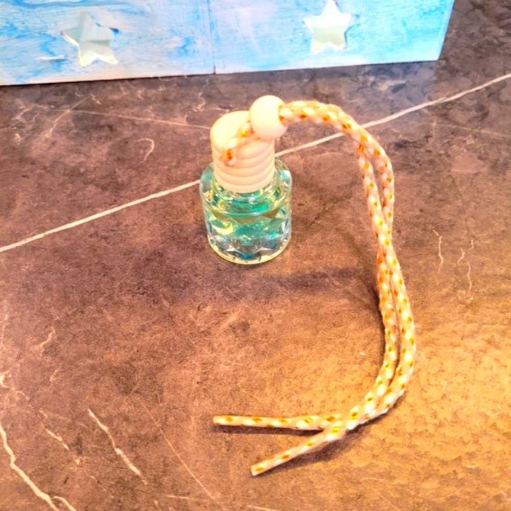 Handcrafted Unisex 1/$10 Or 2/$15  Car Odor Control/Scent Defuser